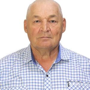 Айдар Ахунов, 65 лет, Муслюмово
