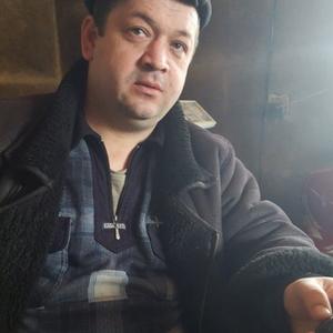 Николай, 50 лет, Мурманск