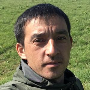 Дамир, 33 года, Павлодар