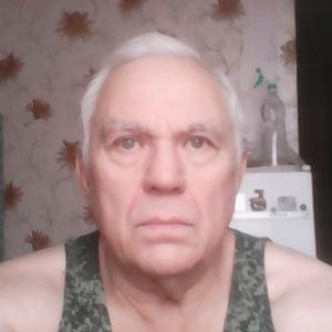 Владимир, 69 лет, Кемерово