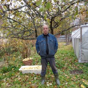 Виктор, 63 года, Санкт-Петербург