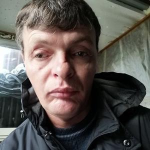 Александр, 41 год, Калининград