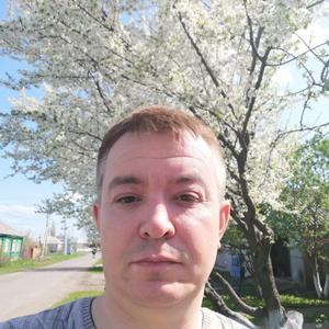 Сергей, 34 года, Бобров