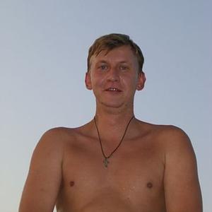 Андрей Архипов, 43 года, Дубна