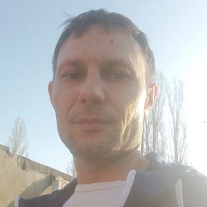 Сергей, 40 лет, Камышин