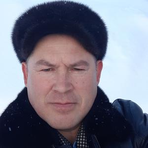 Сергей Солдаткин, 50 лет, Елабуга