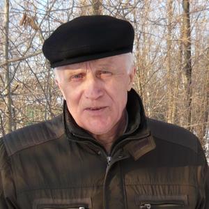 Вячеслав, 79 лет, Владимир