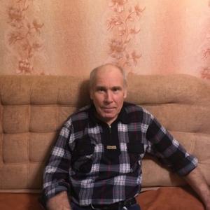 Владимир, 65 лет, Боровичи