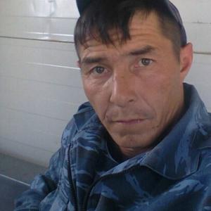 Айрат, 45 лет, Зеленодольск