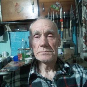 Парни в Приобское: Анатолий, 78 - ищет девушку из Приобское