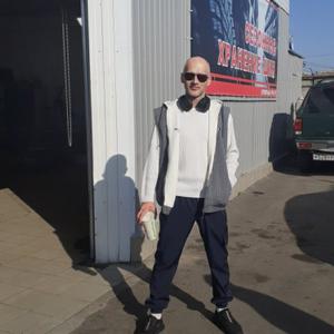 Андрей Музыка, 46 лет, Егорьевск