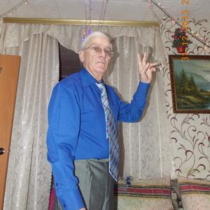 Виктор Крылов, 69 лет, Воронеж