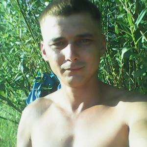 Евгений Кличко, 35 лет, Полоцк