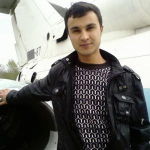 Фарход, 36 лет, Ташкент