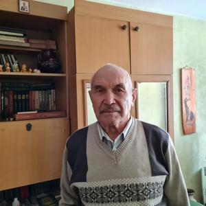 Владимир, 79 лет, Черногорск