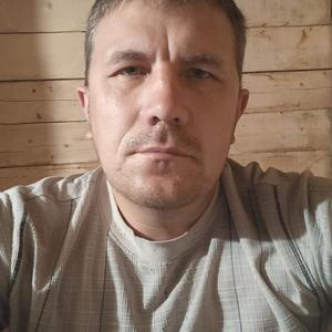 Николай, 41 год, Бийск