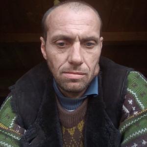 Анатолий, 41 год, Бийск