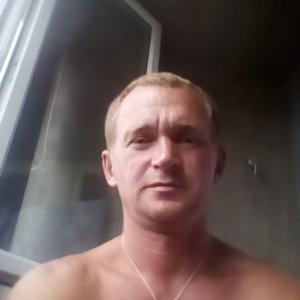 Роман, 43 года, Нижний Новгород