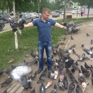 Сергей, 36 лет, Ухта