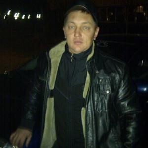 Александр, 42 года, Губкинский