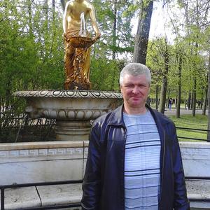 Александр Стаценко, 53 года, Королев