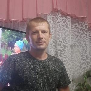 Парни в Зеленокумске: Игорь, 37 - ищет девушку из Зеленокумска