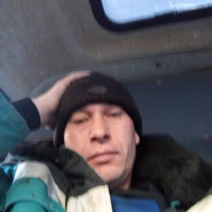 Дима, 43 года, Челябинск