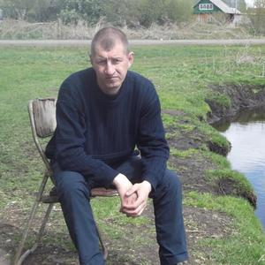 Андрей Вик, 45 лет, Новосибирск