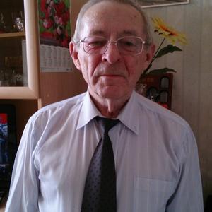 Александр Левченко, 77 лет, Новотроицк
