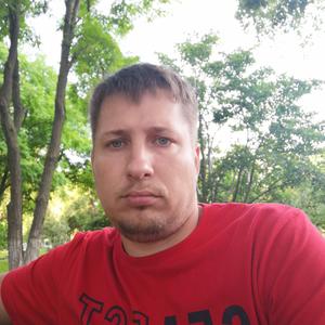 Парни в Череповце: Алексей, 38 - ищет девушку из Череповца