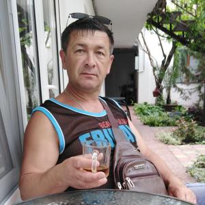 Шурик, 52 года, Москва
