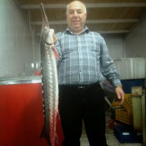 Гамид Мамедов, 63 года, Баку