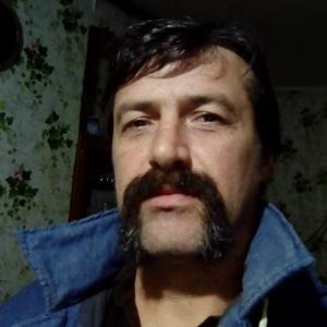 Serg Sfed, 49 лет, Черкизово