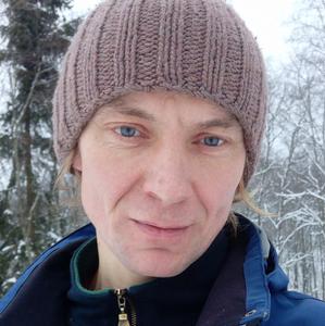 Сергей, 41 год, Орша