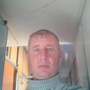 Sergei Vedernikov, 44 года, Кадая