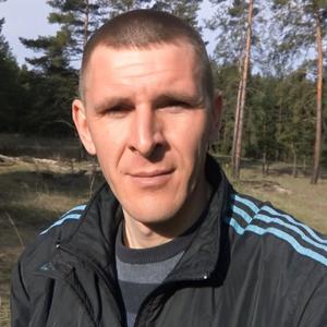 Парни в Гатчине: Сергей, 40 - ищет девушку из Гатчины