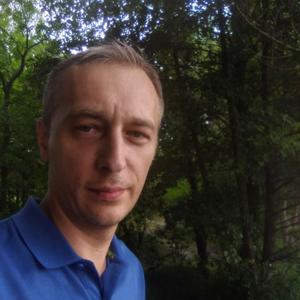 Дмитрий Шевченко, 38 лет, Воронеж
