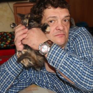 Георгий Степанов, 55 лет, Мытищи