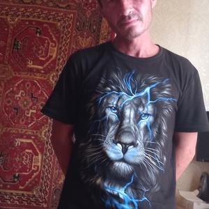 Алексей, 43 года, Чудово