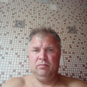 Сергей, 52 года, Снежинск