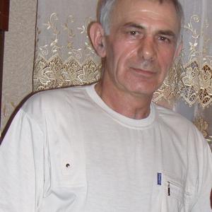 Виктор Ершов, 65 лет, Североуральск