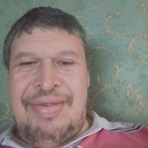 Рустам, 43 года, Нижнекамск