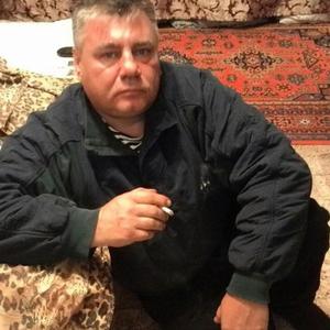 Саша Стеганцев, 56 лет, Воронеж