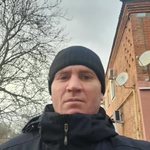 Владимир, 41 год, Роговская