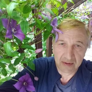 Виктор Доронин, 65 лет, Софрино