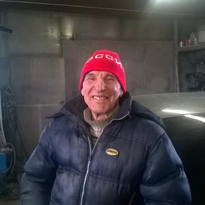 Виктор Гаврилов, 68 лет, Магнитогорск