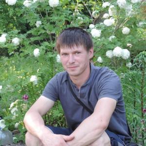 Парни в Вологде: Николай, 38 - ищет девушку из Вологды