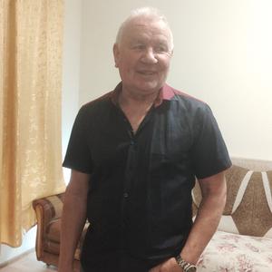 Sergei, 65 лет, Сочи