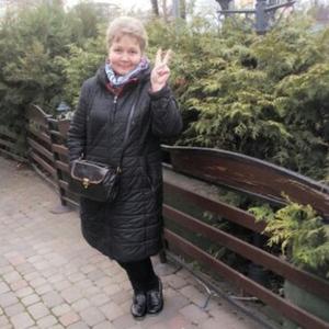 Ирина Витковская, 62 года, Краснодар