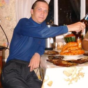 Nikolaj, 44 года, Радужный